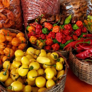 Festival Tempero Bahia destaca ingredientes da Mata Atlântica, com diferentes variedades de pimentas comercializadas na Bahia.